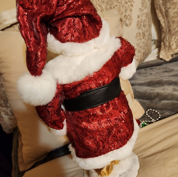 Santa Claus Figurine 17